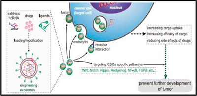 Exosomes as Theranostic Targets: Implications for the Clinical Prognosis of Aggressive Cancers